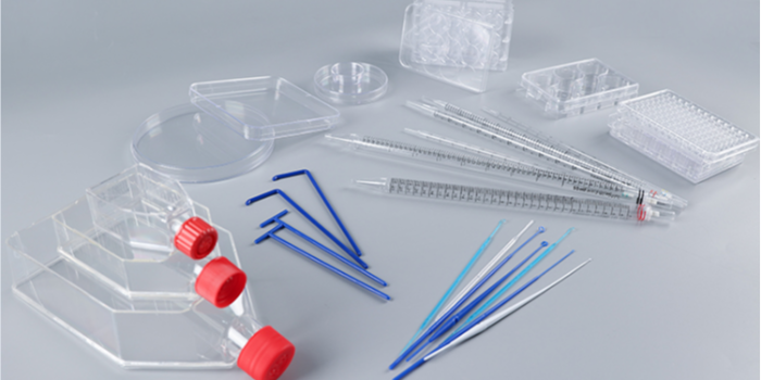 動物組織培養(yǎng)原理和應(yīng)用