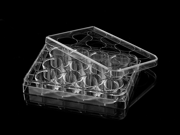 12孔細(xì)胞培養(yǎng)板