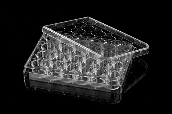 24孔細胞培養(yǎng)板