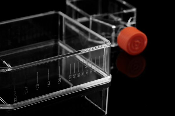 t75細(xì)胞培養(yǎng)瓶