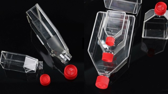 細(xì)胞培養(yǎng)瓶：優(yōu)化細(xì)胞培養(yǎng)環(huán)境的容器