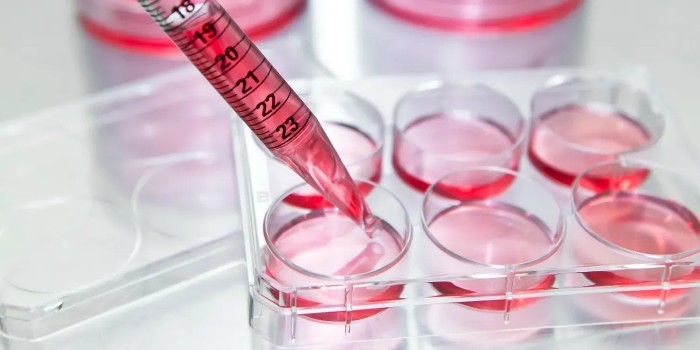 細(xì)胞培養(yǎng)皿，助力生命科學(xué)研究