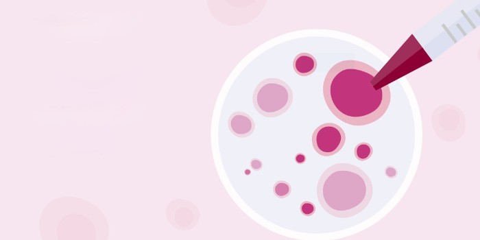 細胞培養(yǎng)的未來：一種新的連續(xù)生物處理發(fā)展