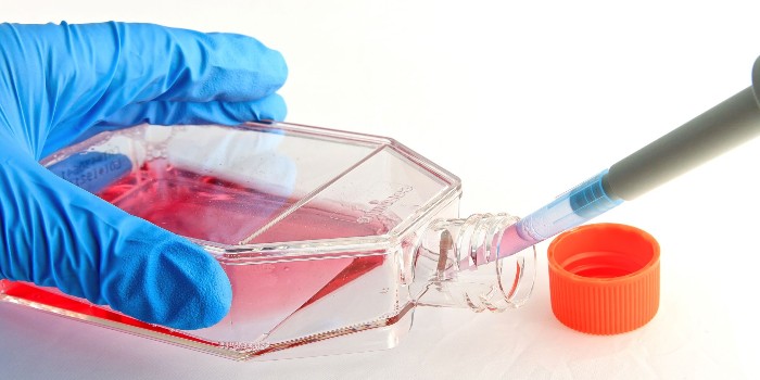 細(xì)胞培養(yǎng)瓶測定細(xì)胞的生長曲線