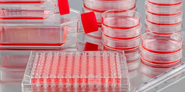 使用細(xì)胞培養(yǎng)板時(shí)常見問題解答