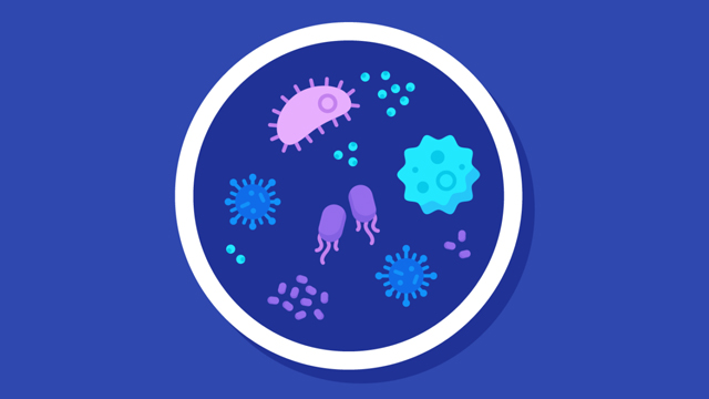 細(xì)胞培養(yǎng)基礎(chǔ)知識(shí)：如何建立細(xì)胞培養(yǎng)實(shí)驗(yàn)室