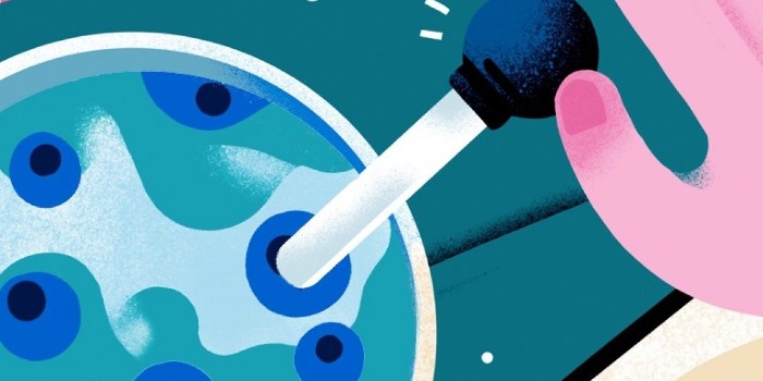 細胞培養(yǎng)基礎(chǔ)知識