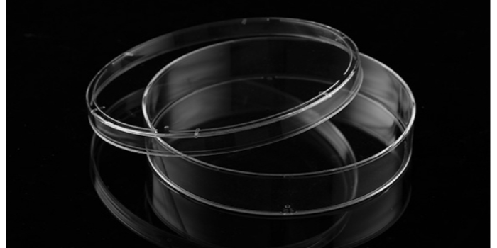 培養(yǎng)皿在病毒培養(yǎng)實(shí)驗(yàn)中的關(guān)鍵地位