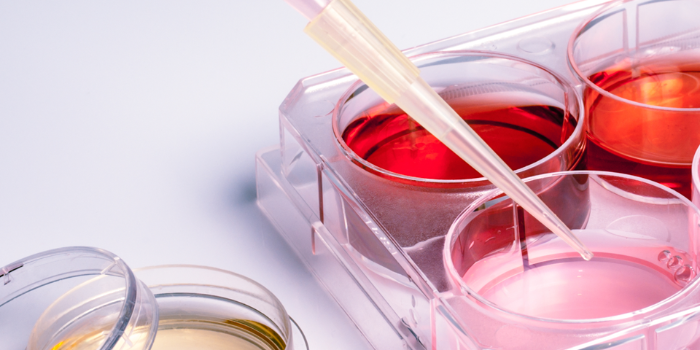 細(xì)胞培養(yǎng)容器有哪些？