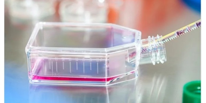 細胞培養(yǎng)中的常見問題