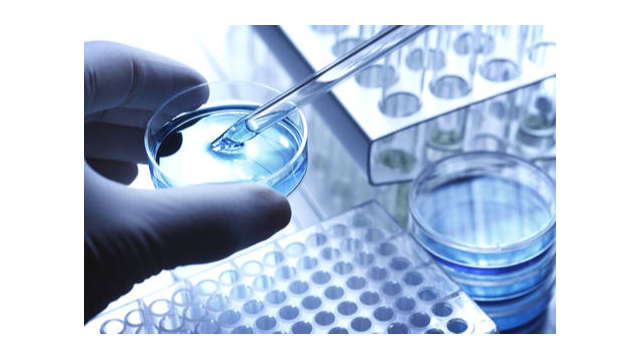 細(xì)胞培養(yǎng)過(guò)程中的注意事項(xiàng)