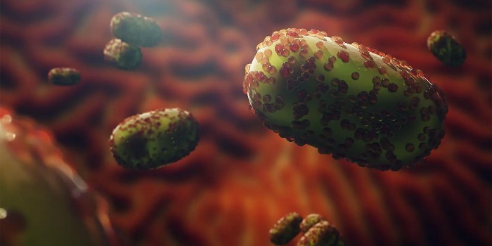 什么是猴痘？癥狀、風(fēng)險(xiǎn)因素、治療以及病毒的傳播方式