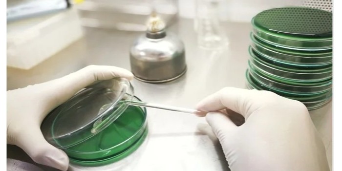 微生物學中的無菌技術