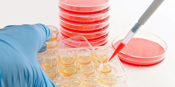 細(xì)胞收集方法如何選擇？